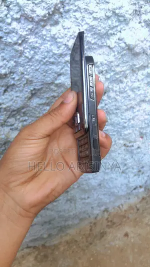 New Nokia E66 Gray