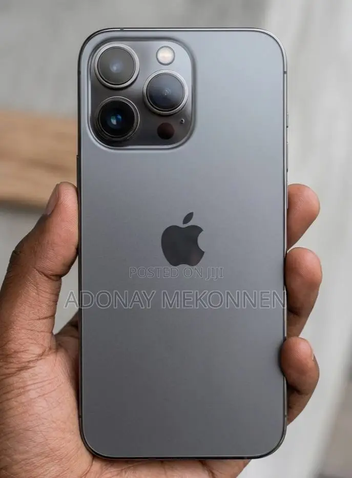 Apple iPhone 13 Pro 256 GB Gray