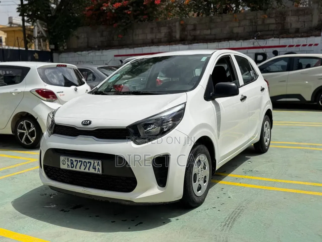 Kia Picanto 2022 White