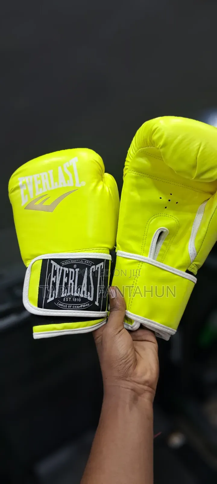 Boxing Gloves