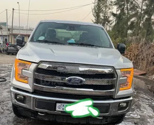 Ford F-150 2016 Gray