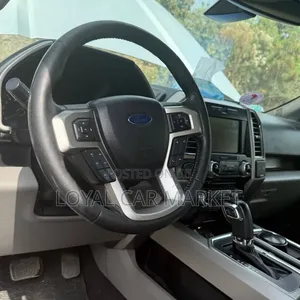 Ford F-150 2016 Gray