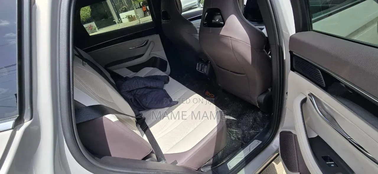 New BYD Song Plus 2024 Gray