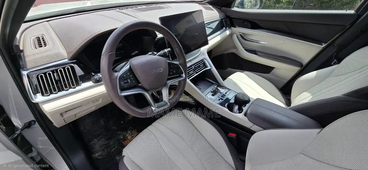 New BYD Song Plus 2024 Gray