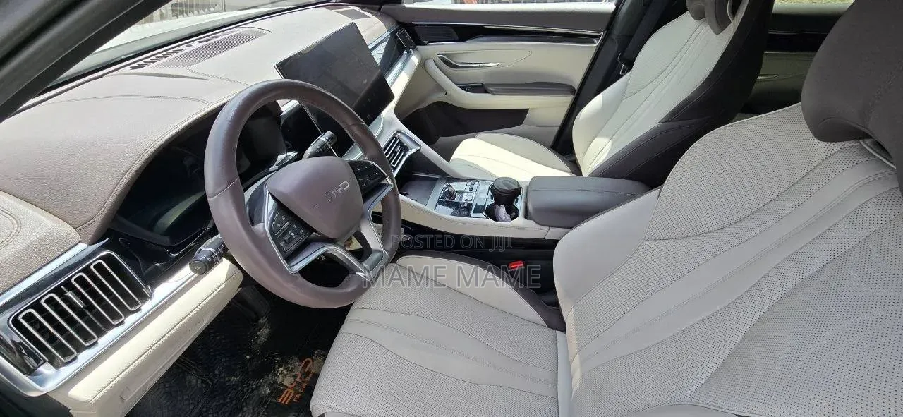 New BYD Song Plus 2024 Gray