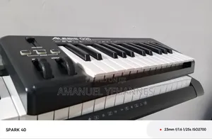 Alesis Q25 Midi Keyboard Piano