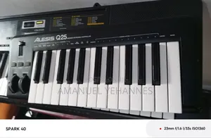 Alesis Q25 Midi Keyboard Piano