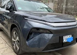 BYD Tang EV 2025 Gray