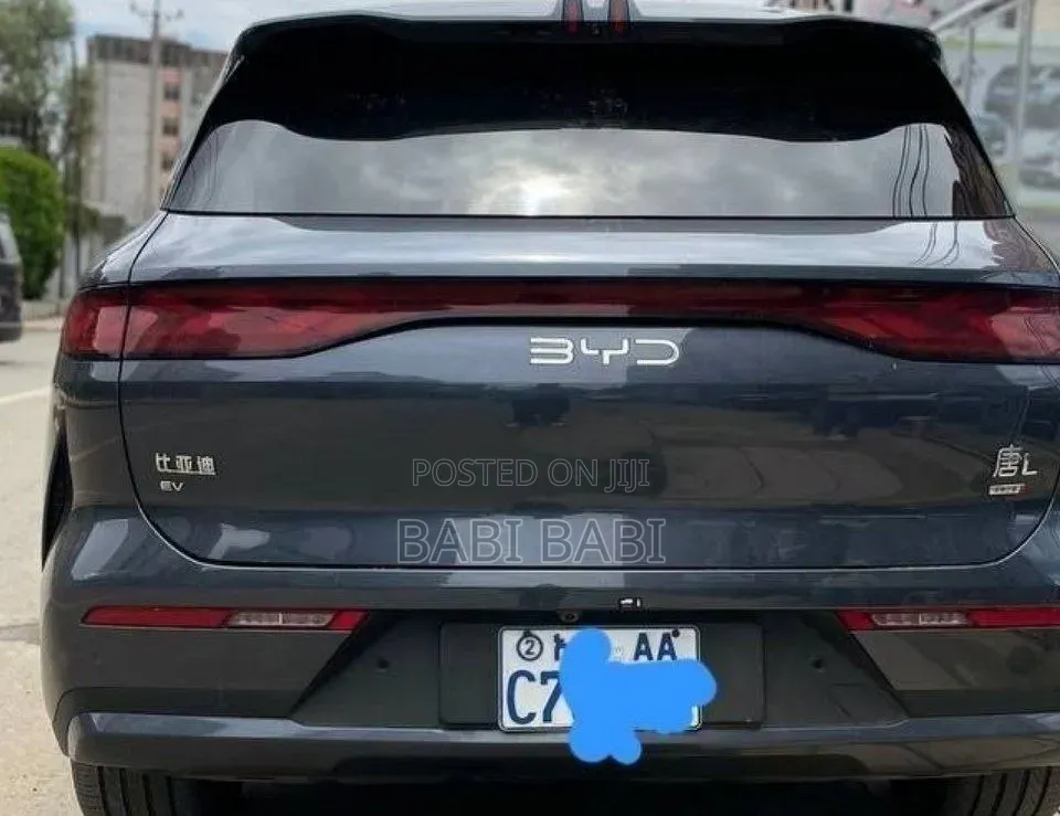 BYD Tang EV 2025 Gray