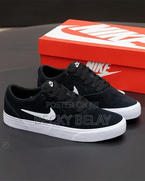 Nike Sb Shoes