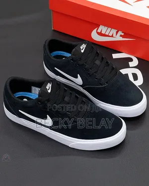 Nike Sb Shoes