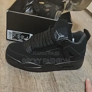 Air Jordan 4 Black Cat Shoes