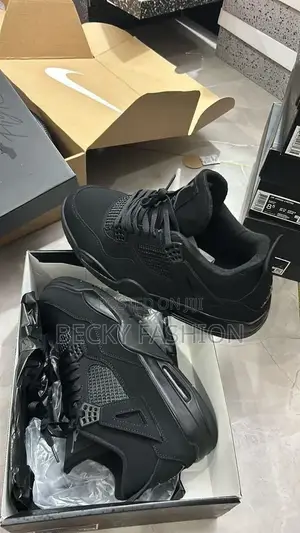 Air Jordan 4 Black Cat Shoes