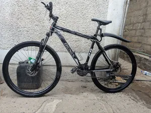 Denix Gaint Embassy 29 Inche Bike
