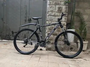 Denix Gaint Embassy 29 Inche Bike