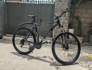Denix Gaint Embassy 29 Inche Bike