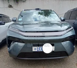 BYD Tang DM-i 2025 Gray