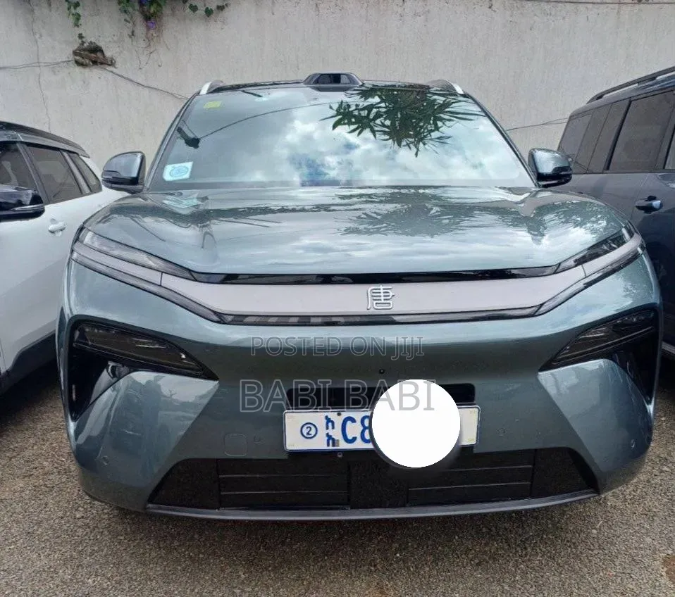 BYD Tang DM-i 2025 Gray
