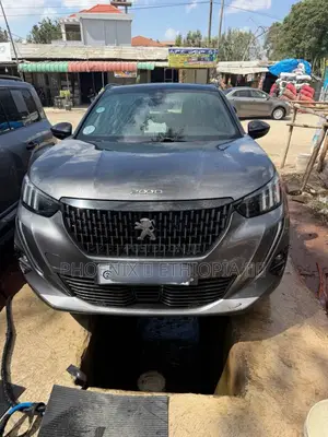 Peugeot 2008 2022 Gray