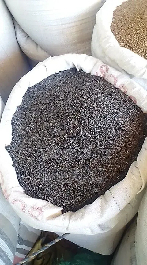 Tigray Nigerseed