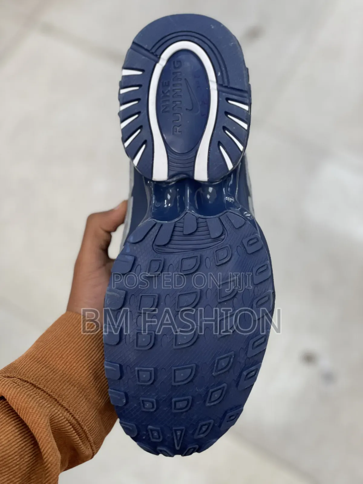 Nike Air Max (The Scripted Essential)