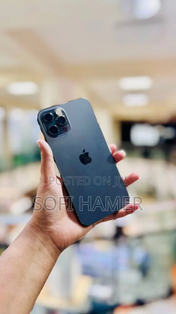 Apple iPhone 12 Pro Max 128 GB Gray