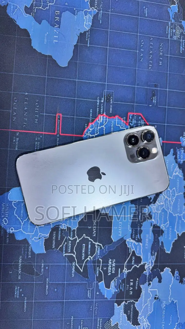 Apple iPhone 13 Pro Max 256 GB Gray