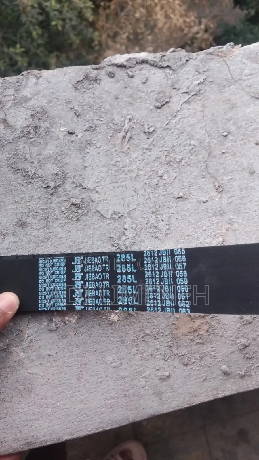 Timing Belt