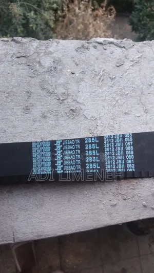 Timing Belt