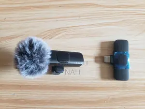Wireless Mic
