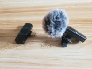 Wireless Mic