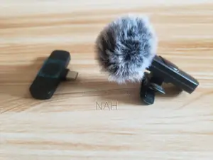 Wireless Mic