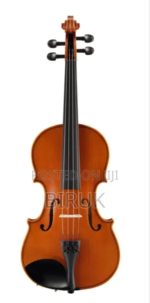 For Sales New Violin