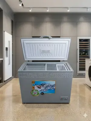 Everest Silver Chest Freezer, Likely A 330-liter Model Based On Its