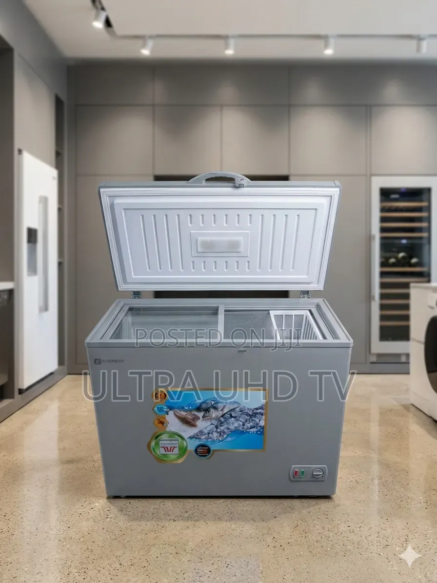 Everest Silver Chest Freezer, Likely A 330-liter Model Based On Its