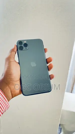 Apple iPhone 11 Pro Max 256 GB Green