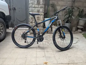 Decant Bicycle 26 Inche