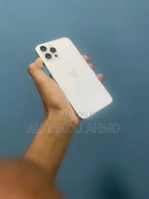 Apple iPhone 12 Pro Max 256 GB