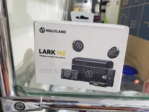 Holly Land Wireless Mic