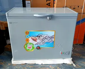 Everest Single-Door Chest Freezer (Silver/Grey 30