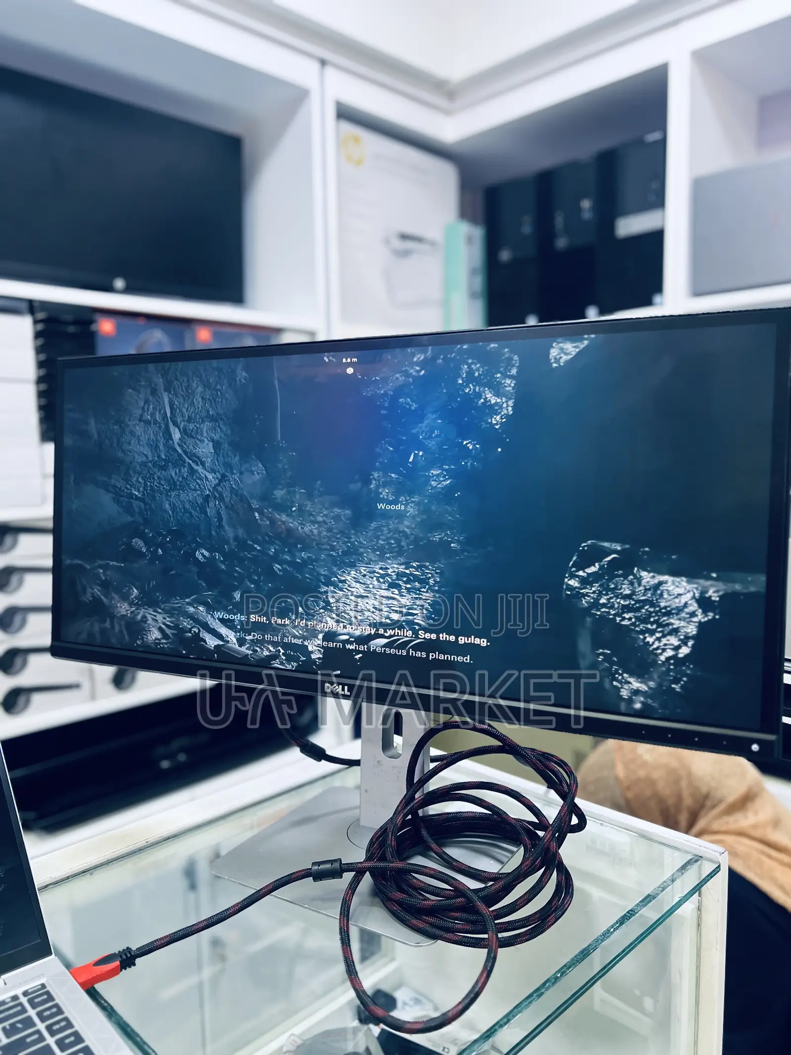Dell 29” Monitor