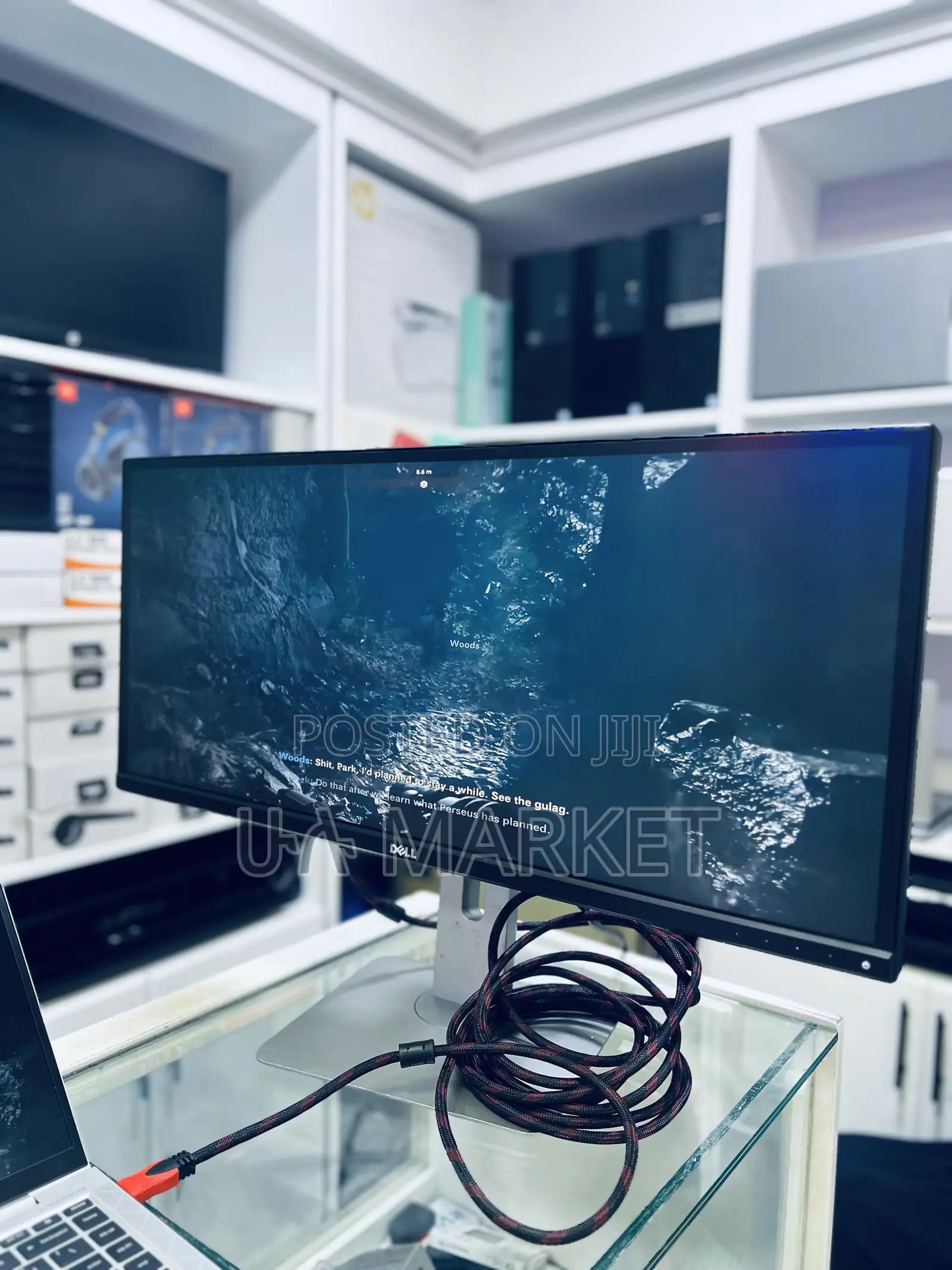 Dell 29” Monitor