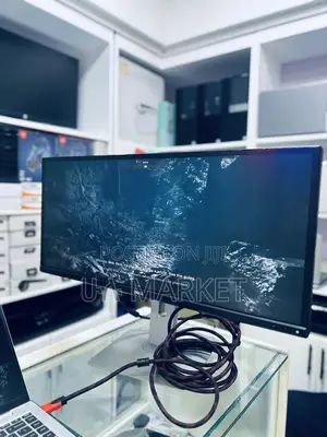 Dell 29” Monitor