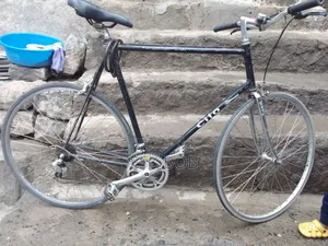 Cilo Adult Bike