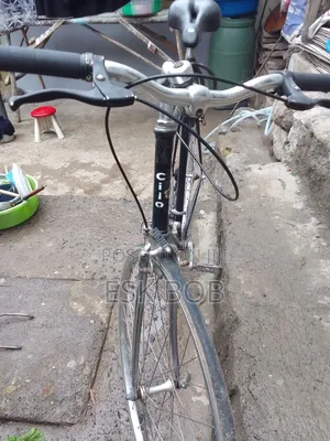 Cilo Adult Bike