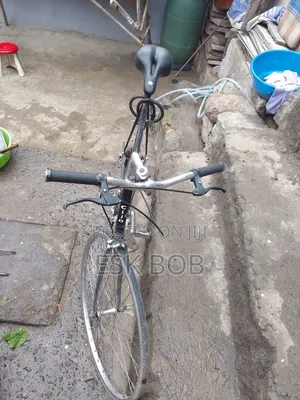 Cilo Adult Bike