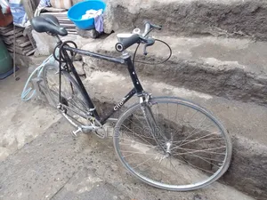 Cilo Adult Bike