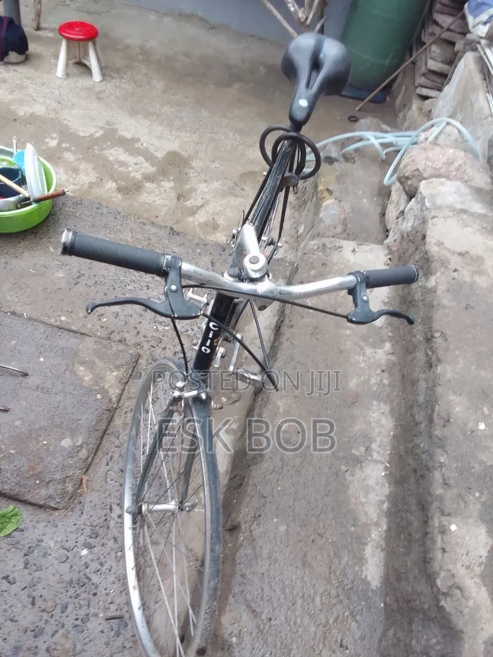 Cilo Adult Bike