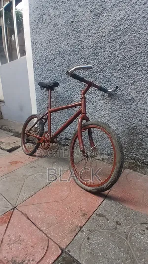 Bicycle ሳይክል