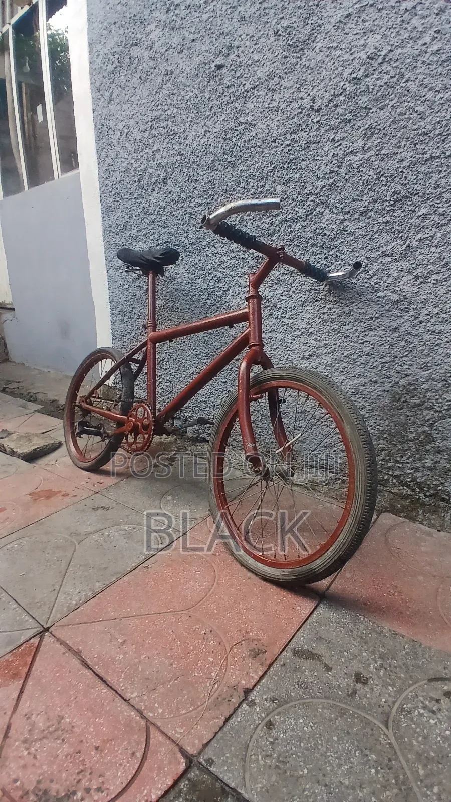 Bicycle ሳይክል